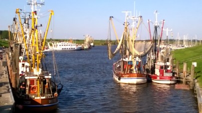 WP_20150823_17_50_34_Pro