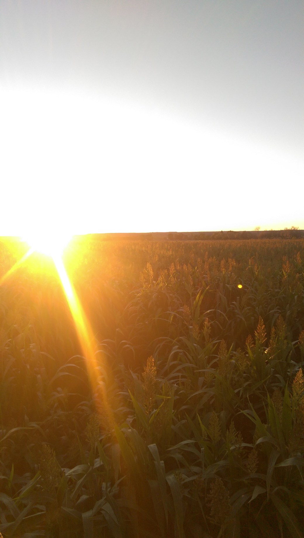 Auslandsjahr 2015 250