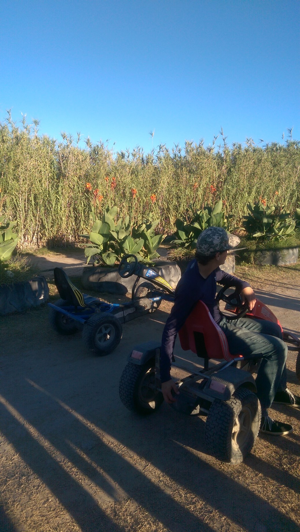 Auslandsjahr 2015 263