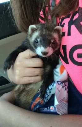 Bilder Kamera Auslandsjahr 811